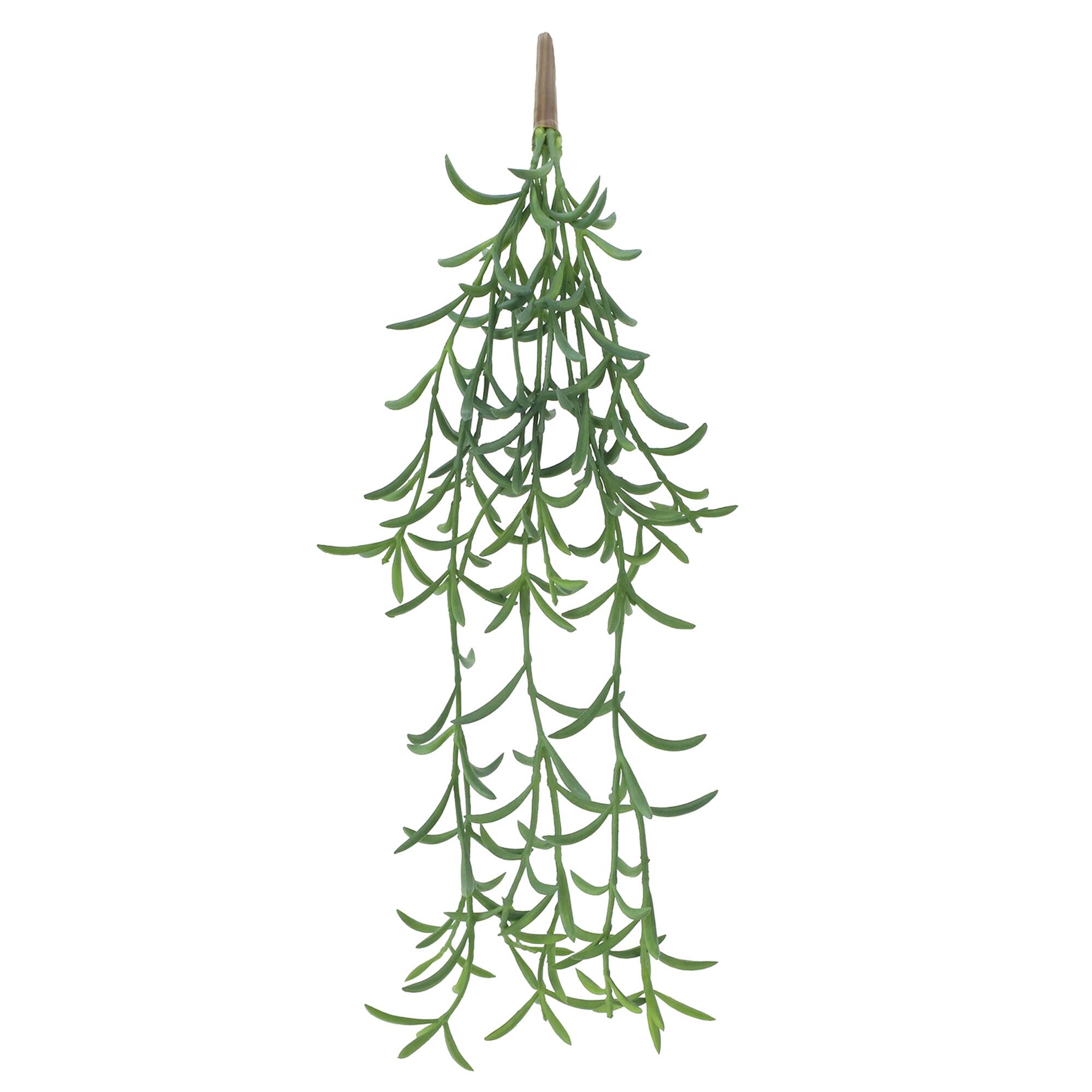 11" String of Dolphins Pick by Ashland®
